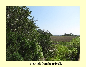 View left from boardwalk