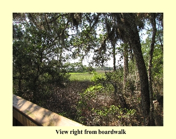 View right from boardwalk