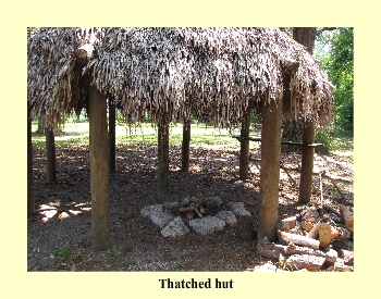 Thatched Hut