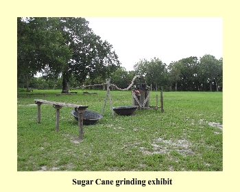 Sugar Cane grinding Exhibit