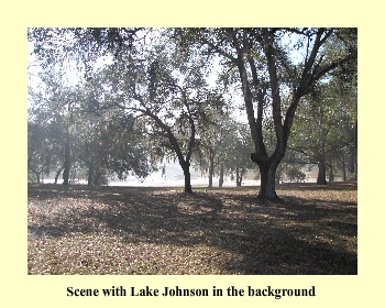 Scene with Lake Johnson in the background