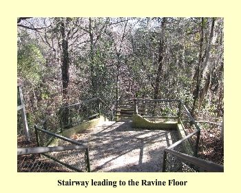 Stairway leading to the Ravine Floor