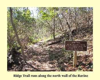 Ridge Trail runs along the north wall of the Ravine