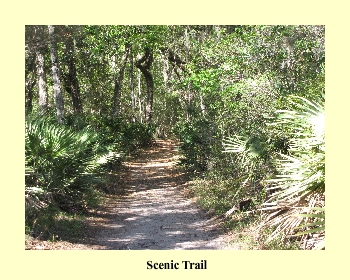 Scenic Trail