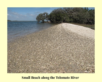 Small Beach along the Tolomato River