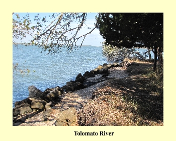 Tolomato River