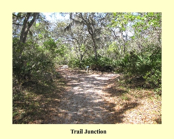 Trail Junction