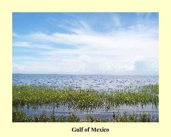 Gulf of Mexico