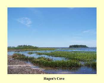 Hagen's Cove