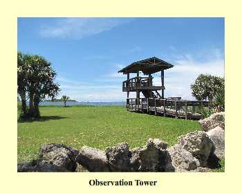 Observation Tower