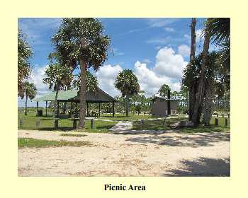 Picnic Area