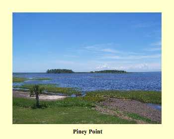 Piney Point