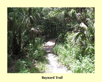 Baynard Trail