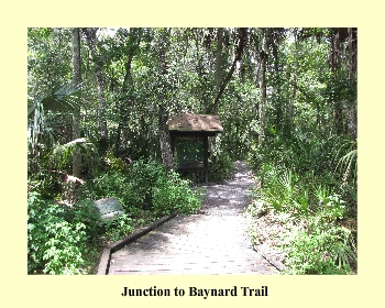 Junction to Baynard Trail