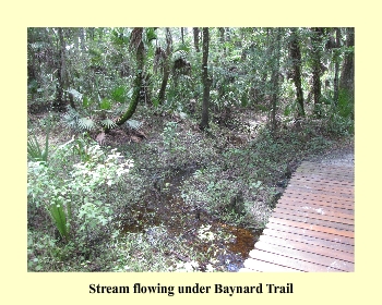 Stream flowing under Baynard Trail