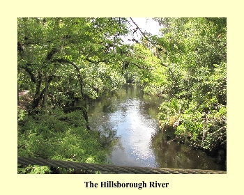 The Hillsborough River