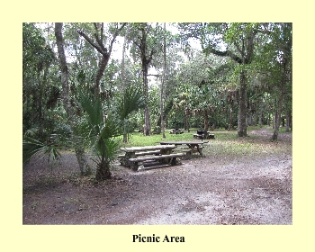 Picnic Area