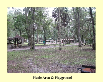 Picnic Area & Playground