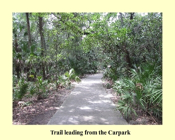 Trail leading from the Carpark