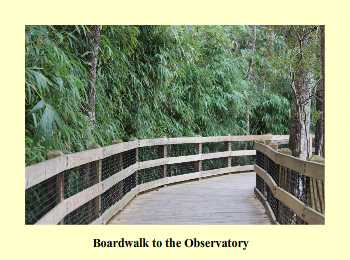 Boardwalk to the Observatory