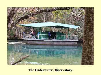 The Underwater Observatory