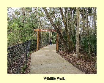 Wildlife Walk