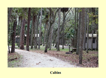 Cabins