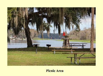 Picnic Area