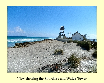 View showing the Shoreline and Watch Tower