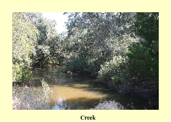 Creek