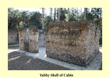 Tabby Shell of Cabin