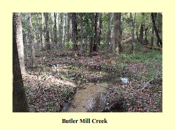 Butler Mill Creek