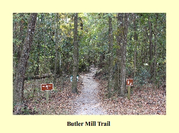 Butler Mill Trail