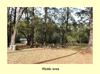 Picnic Area