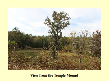 View from the Temple Mound