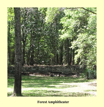 Forest Amphitheater