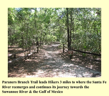 Paraners Branch Trail leads Hikers 3 miles to where the Santa Fe River reemerges and continues its journey towards the Suwannee River & the Gulf of Mexico