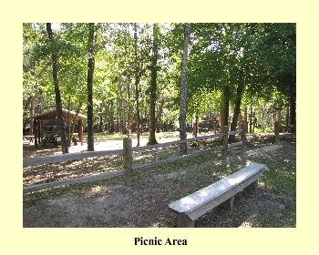 Picnic Area