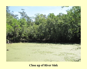 CloseUp of River Sink