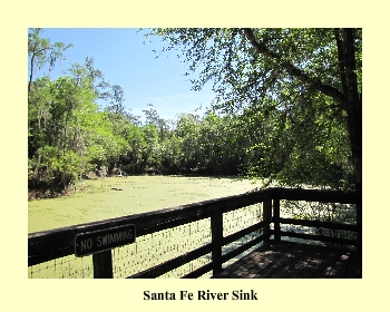 Santa Fe River Sink