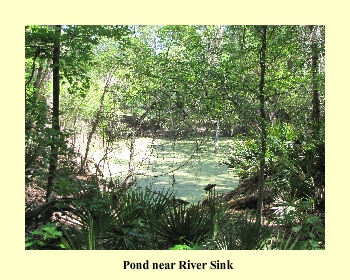 Pond near River Sink