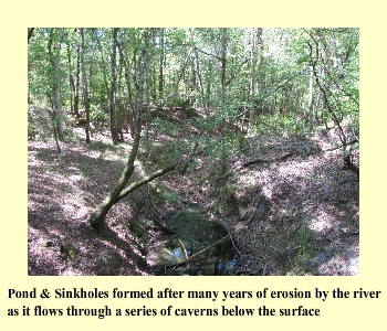 Pond & Sinkholes formed after many years of erosion by the river as it flows through a series of caverns below the surface