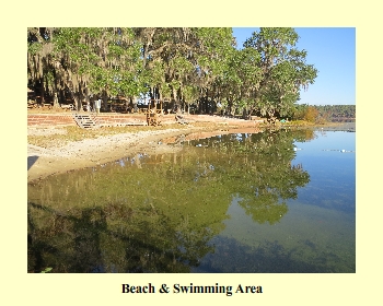 Beach & Swimming Area