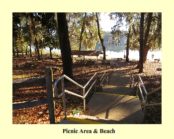 Picnic Area & Beach