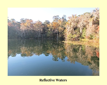 Reflective Waters