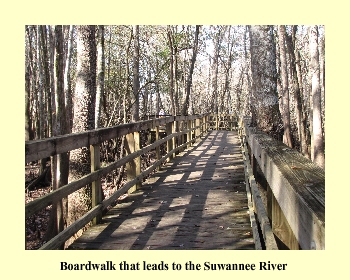 Boardwalk that leads to the Suwannee River