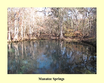 Manatee Springs