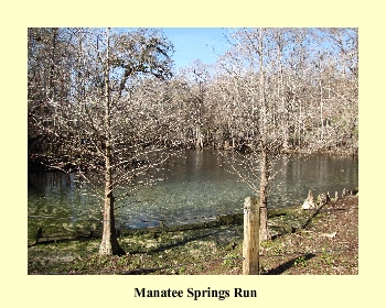 Manatee Springs Run