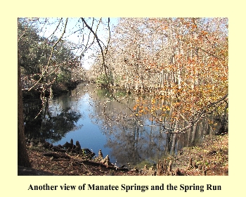Another view of Manatee Springs and the Spring Run
