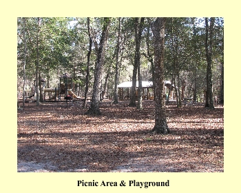 Picnic Area & Playground
